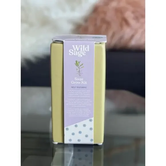 Organic Sage Grow Kit Self-Watering Ceramic vase - Picture 2 of 5